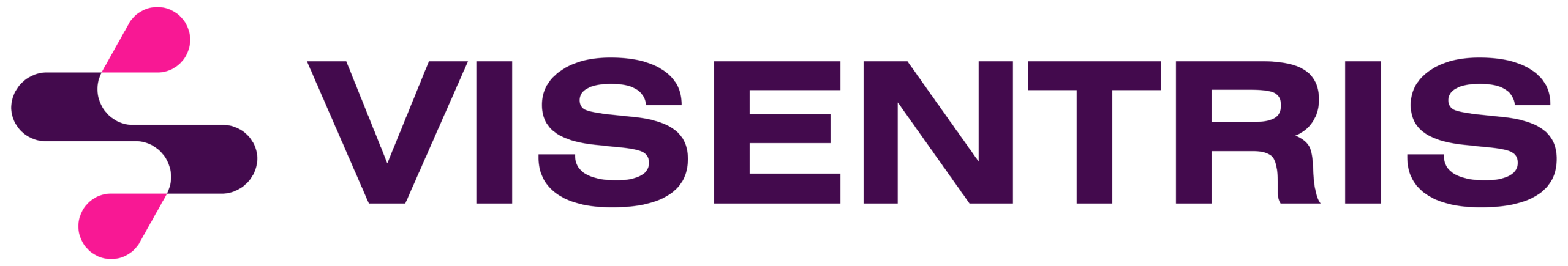 visentris.com